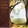 Celtic Angel 2 - Solo Celtic Harp