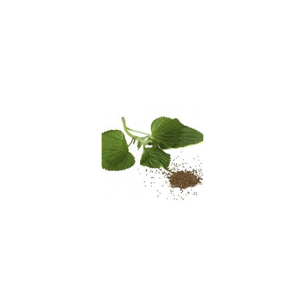 Perilla