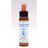 Scleranthus