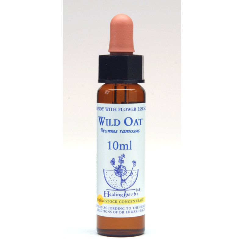 wild oat wild oat