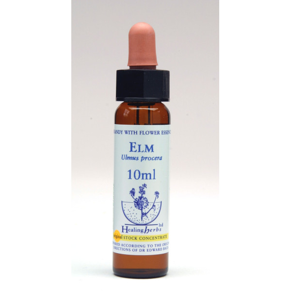 Elm