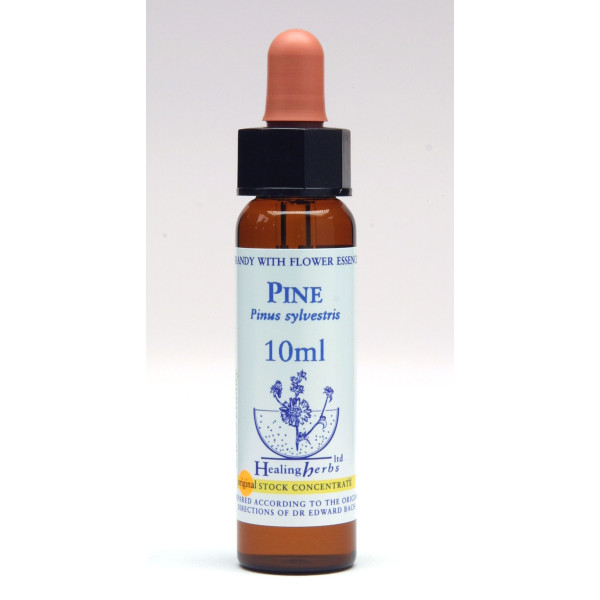 Pine
