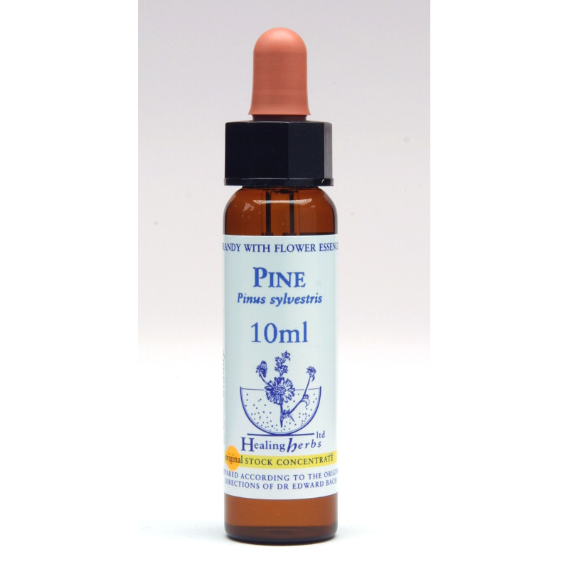 Pine Pine
