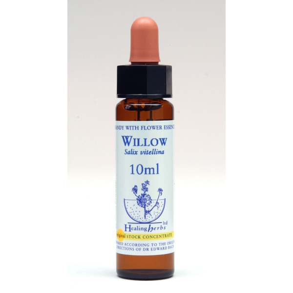 Willow