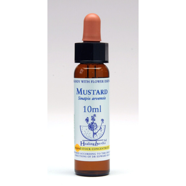 Mustard