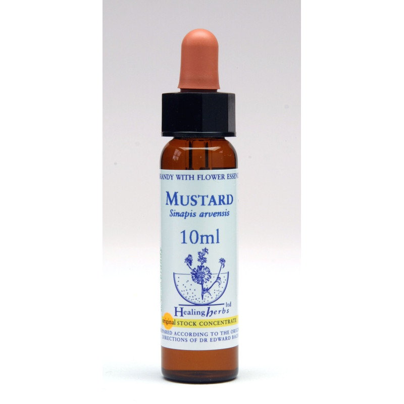 Mustard Mustard