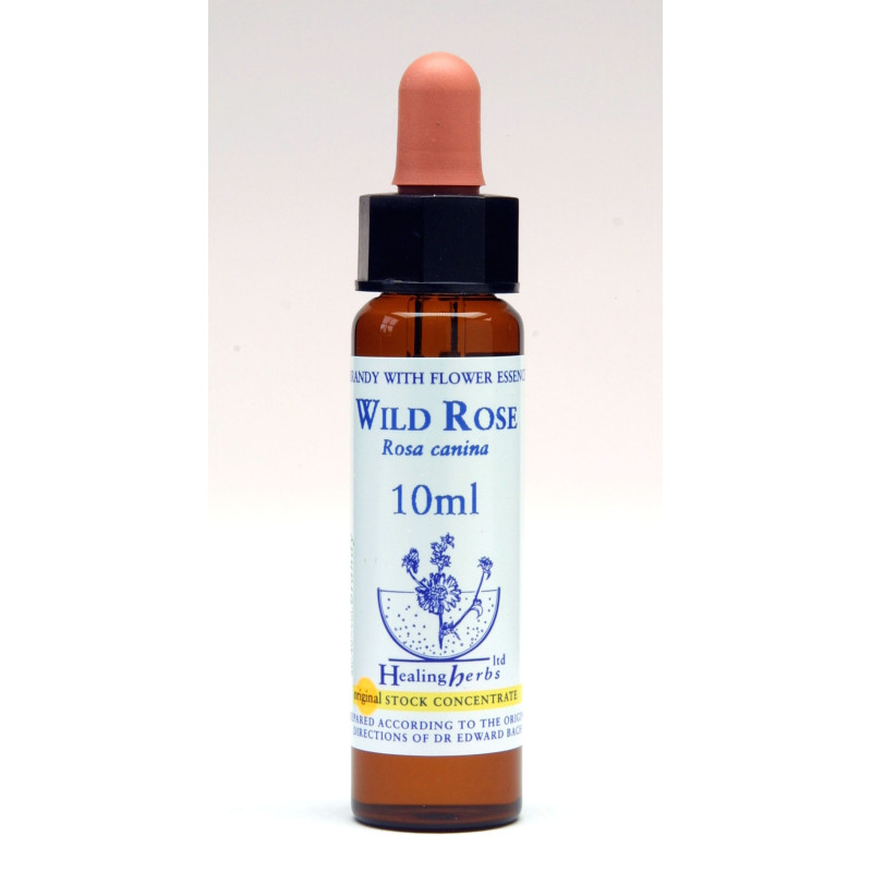Wild Rose