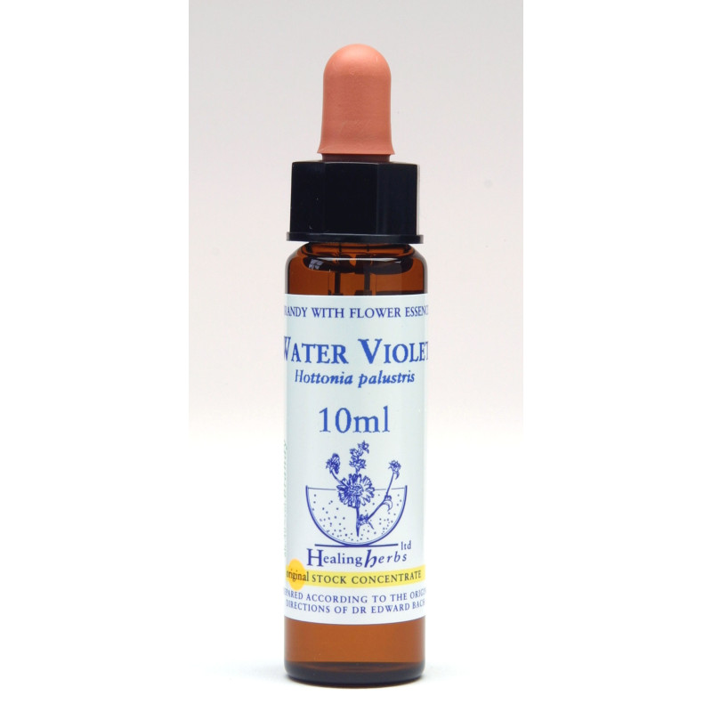 Water Violet