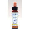 Water Violet