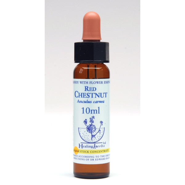 Red Chestnut