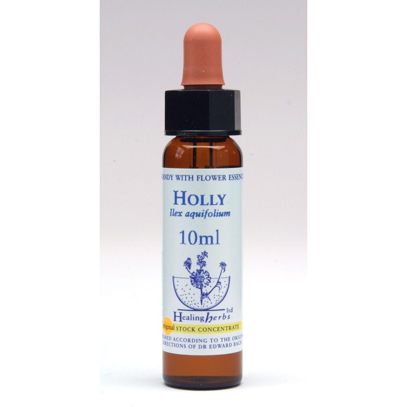 Holly