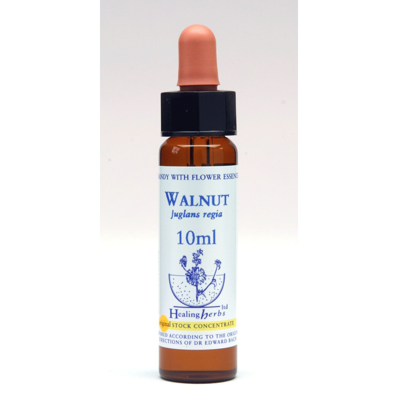 Walnut Walnut