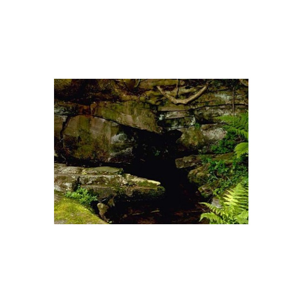 Rock Water