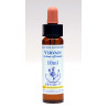Vervain 