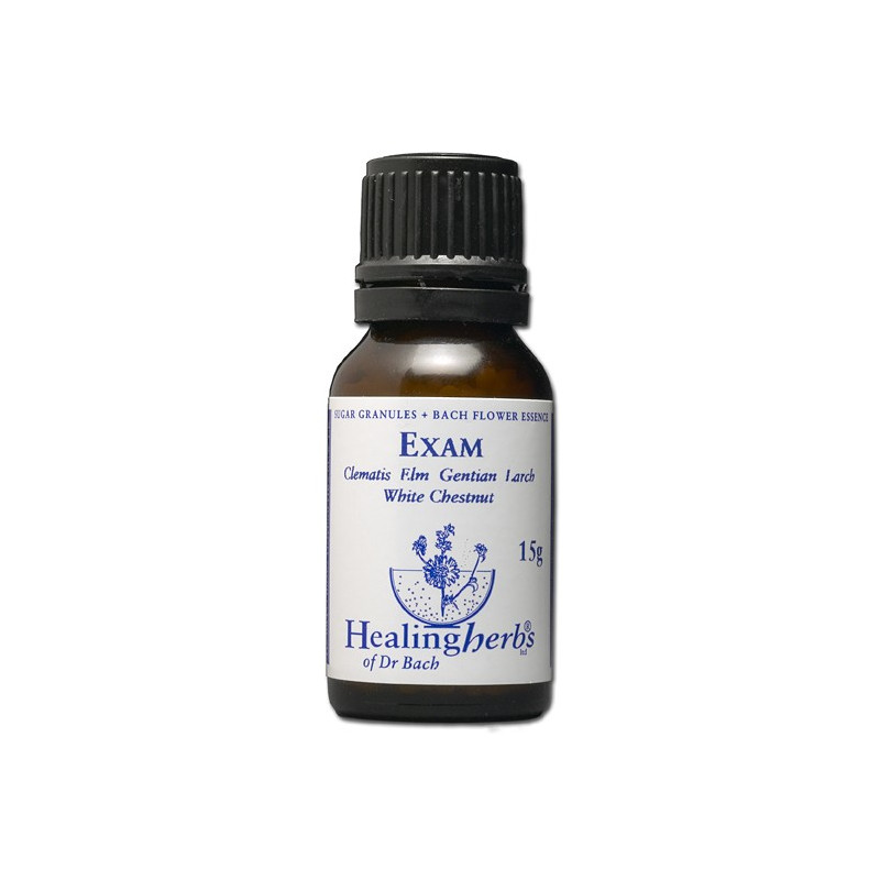 Exam Granules Exam Granules