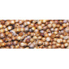 Βιολογικό Αιθέριο Έλαιο Κολιάνδρου | Coriander Essential Oil Org. | 10ml
