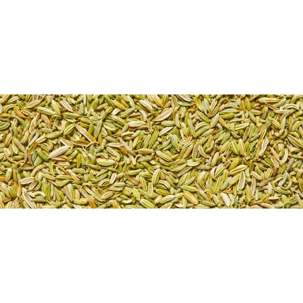 Βιολογικό Αιθέριο Έλαιο Μάραθος | Fennel Globulus Essential Oil Org. | 10ml