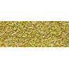 Βιολογικό Αιθέριο Έλαιο Μάραθος | Fennel Globulus Essential Oil Org. | 10ml
