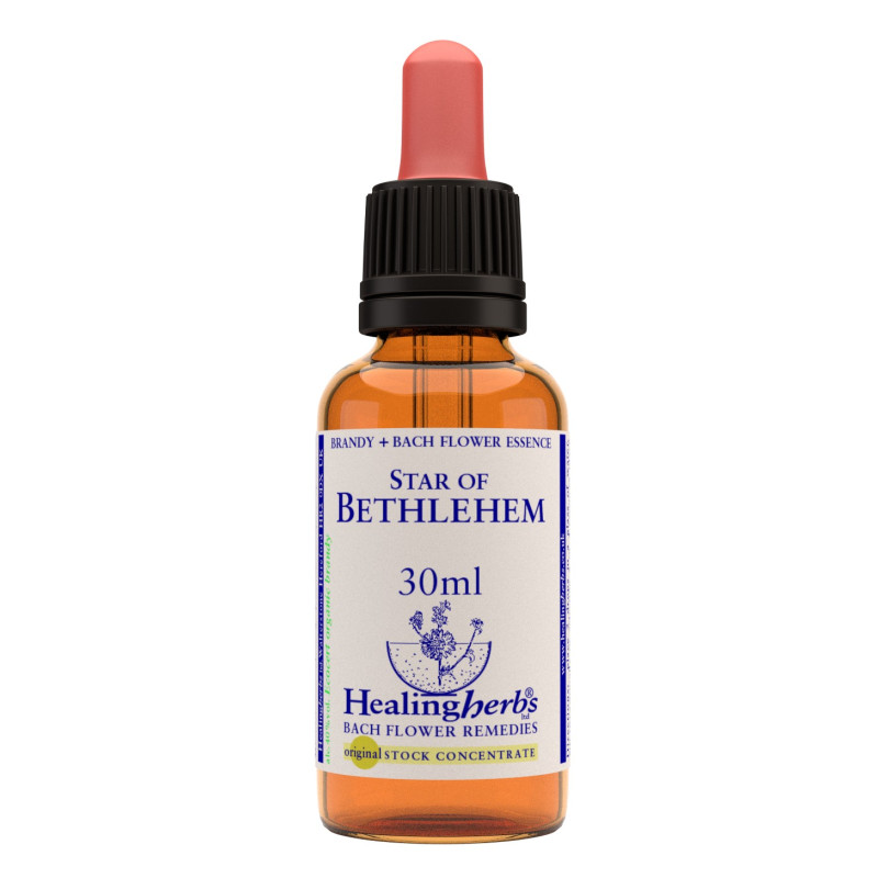 Star of Bethlehem 30ml Star of Bethlehem 30ml