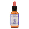 Sweet Chestnut 30ml
