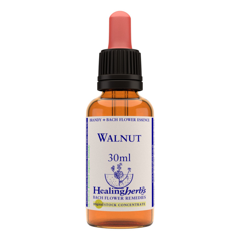 Walnut 30ml Walnut 30ml