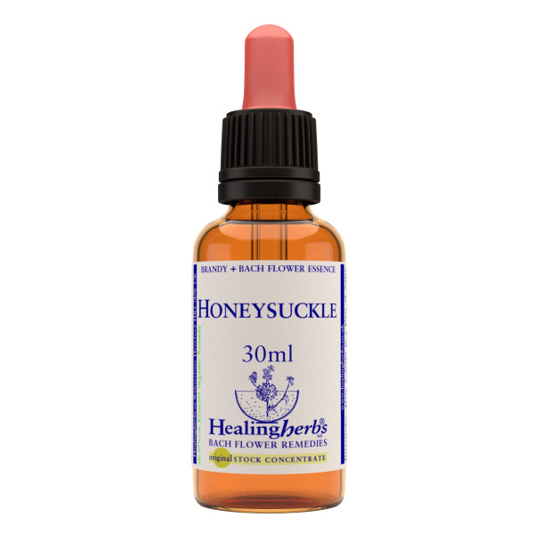 Honeysuckle 30ml