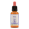 Vine 30ml
