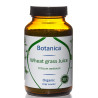 Βιολογικός Χύμος Σιταρόχορτου Σκόνη | Wheatgrass juice powder organic 110gr | 30:1