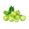 Βιολογικό Άμλα σε Σκόνη | Amla Powder Organic | 110gr