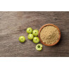 Βιολογικό Άμλα σε Σκόνη | Amla Powder Organic | 110gr