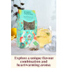 Πράσινο Τσάι, Μήλο & Γιασεμί | Green Tea, Apple & Jasmine | 7 Pyramid Tea Bags