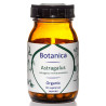 Βιολογικός Αστράγαλος | Organic Astragalus | 60caps