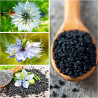 Μαύρο Κύμινο | 100% Organic Black Seed Oil | 250m