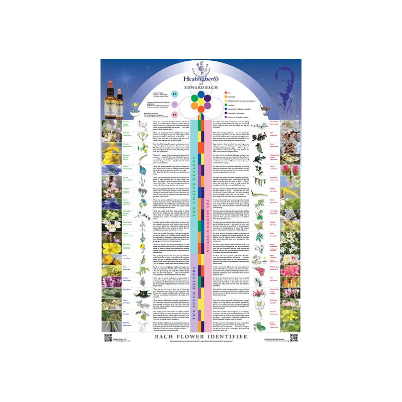 Poster in English